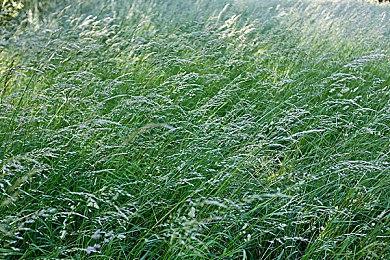 复古ARPG《Journey Record》steam页面上线 2D3D交错探险